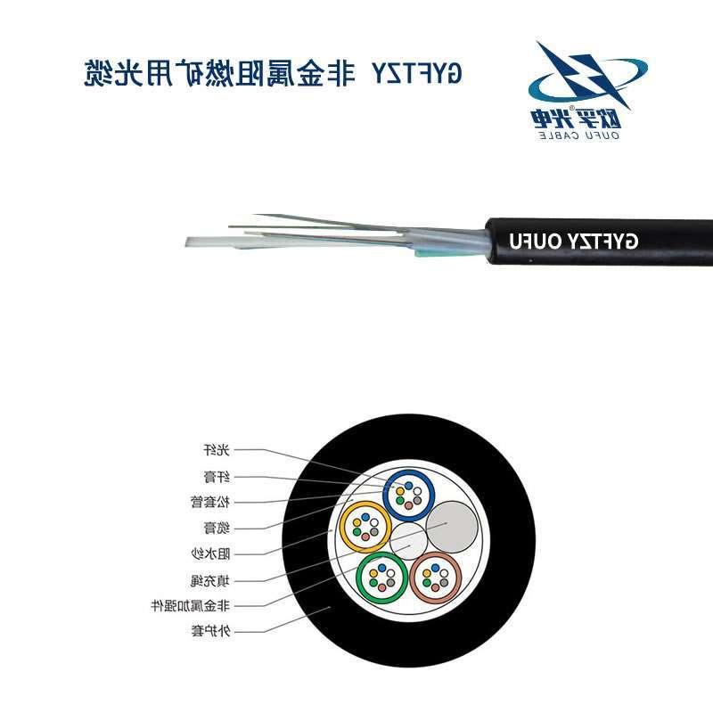 文山壮族苗族自治州GYFTZY光缆