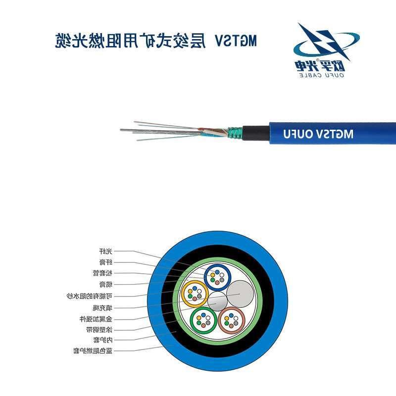 阿坝藏族羌族自治州MGTSV光缆